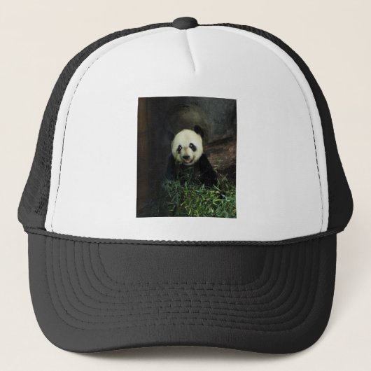 Panda Trucker Pet (Voorkant)