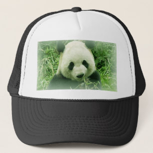 Panda Trucker Pet