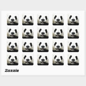Panda Vierkante Sticker (Vel)