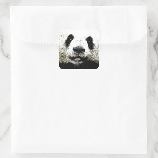Panda Vierkante Sticker (Tas)
