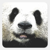 Panda Vierkante Sticker (Voorkant)