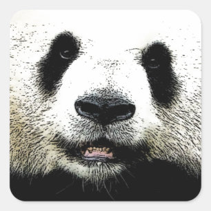 Panda Vierkante Sticker