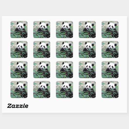 Panda Vierkante Sticker (Vel)