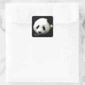 Panda Vierkante Sticker (Tas)