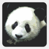 Panda Vierkante Sticker (Voorkant)
