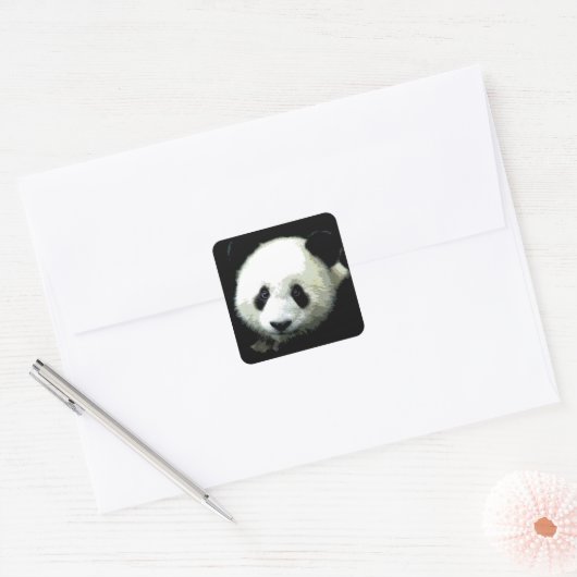 Panda Vierkante Sticker (Envelop)