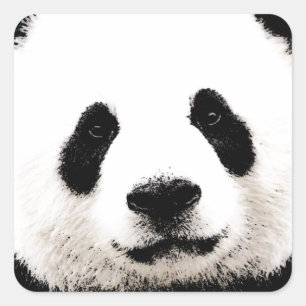 Panda Vierkante Sticker