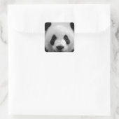 Panda Vierkante Sticker (Tas)