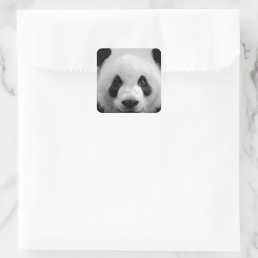 Panda Vierkante Sticker (Tas)