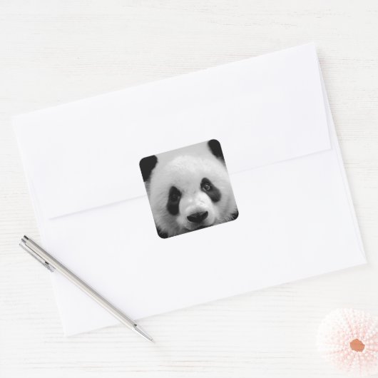Panda Vierkante Sticker (Envelop)