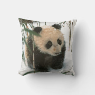 Panda welp in de sneeuw, Wolong, Sichuan, China Kussen