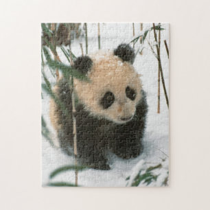 Panda welp in de sneeuw, Wolong, Sichuan, China Legpuzzel