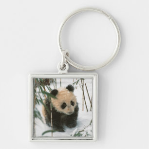 Panda welp in de sneeuw, Wolong, Sichuan, China Sleutelhanger