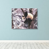 Panda welp speelt in besneeuwde boom canvas afdruk (Insitu (Houten vloer))