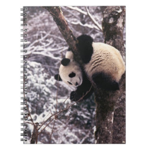 Panda welp speelt in besneeuwde boom notitieboek