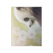 Panda wild dier rustig vredig notitieblok (Linkerzijde)