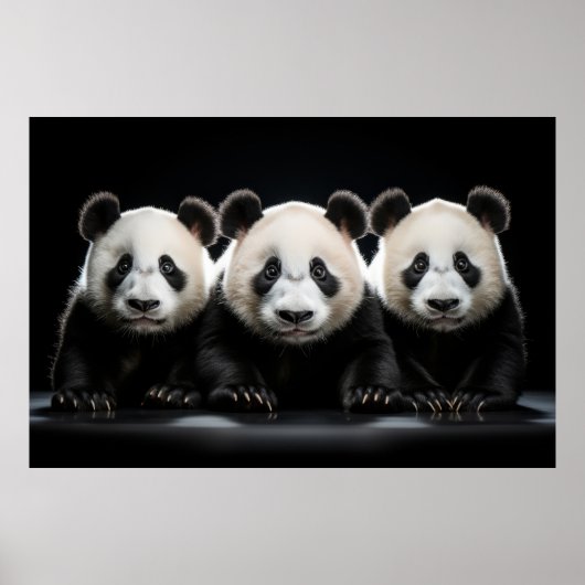 Panda Wild Dierenportret Natuur Beauty Poster (Voorkant)