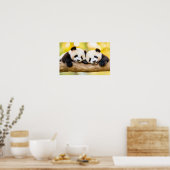 Panda Wilde Dier Liefdevol Portret Poster (Keuken)