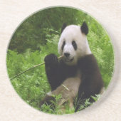 Panda Zandsteen Onderzetter (Voorkant)