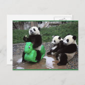 pandabier briefkaart (Voorkant / Achterkant)