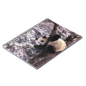 Pandabub speelt op een boom met sneeuw. notitieboek (Linkerzijde)