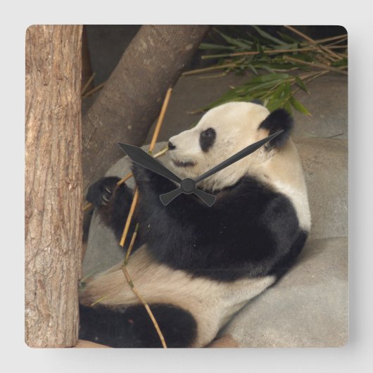 PandaM015 Vierkante Klok (Voorkant)