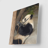 PandaM015 Vierkante Klok (Hoek)