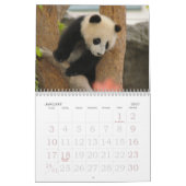 PandaM016, Giant Panda Beer Kalender (Jan 2027)