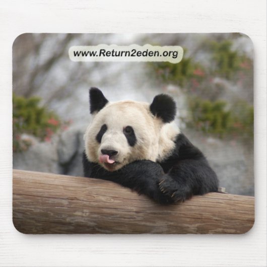 PandaM021 Muismat (Voorkant)