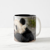PandaM021 Tweekleurige Koffiemok (Voorkant rechts)