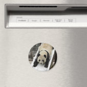 pandamagneet magneet (Insitu (Vaatwasser))