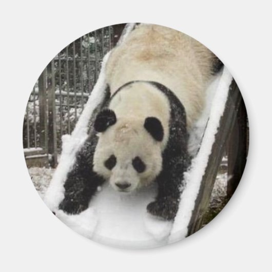 pandamagneet magneet (Voorkant)