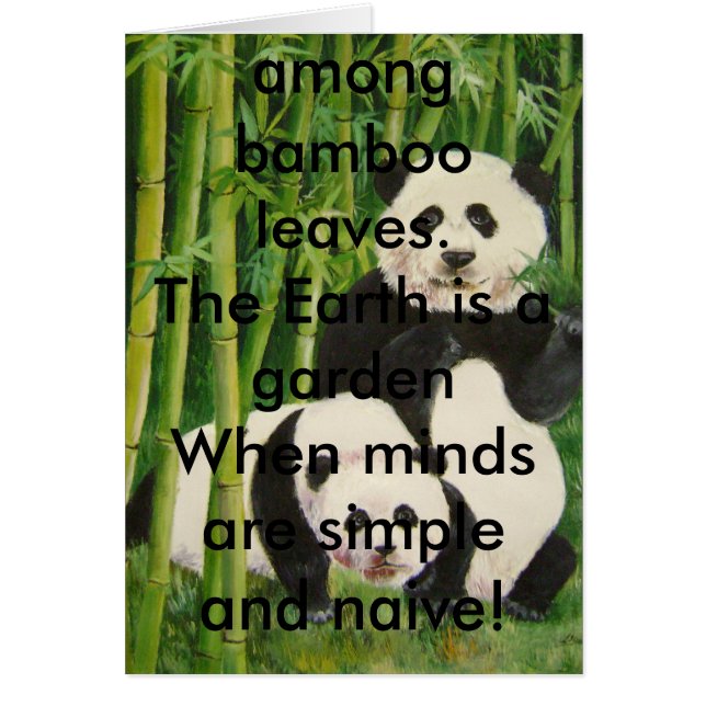 pandas2, er is alleen zwart-wit, simpel.. (Voorkant)