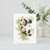 Pandas die in een boom speelt briefkaart (Staand voorkant)