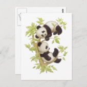 Pandas die in een boom speelt briefkaart (Voorkant / Achterkant)