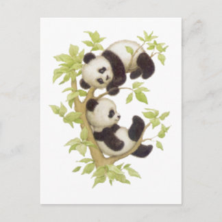 Pandas die in een boom speelt briefkaart
