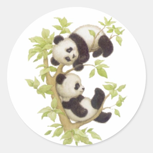 Pandas die in een boom speelt ronde sticker (Voorkant)