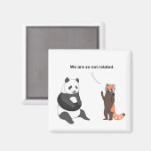 Panda's: Dus niet gerelateerde magneet (Voorkant / Achterkant)