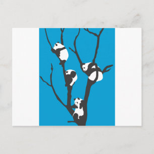 Pandas Hangin uit Briefkaart
