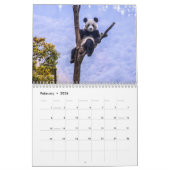 Pandas of China, Wall Calendar 2019 Kalender (Feb 2026)