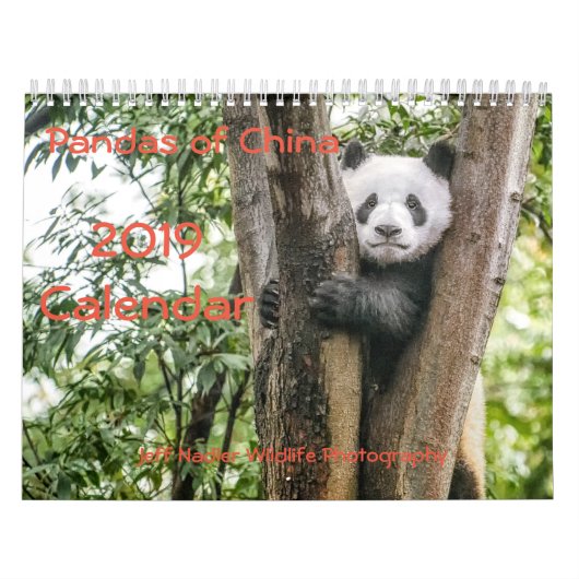 Pandas of China, Wall Calendar 2019 Kalender (Hoes)