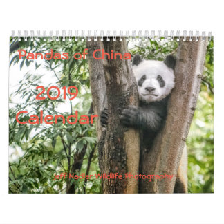 Pandas of China, Wall Calendar 2019 Kalender