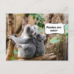 Pandas of Koalas - Welke zijn knuffels? Briefkaart