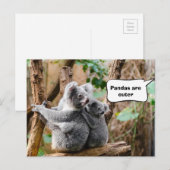 Pandas of Koalas - Welke zijn knuffels? Briefkaart (Voorkant / Achterkant)