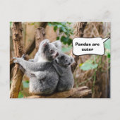 Pandas of Koalas - Welke zijn knuffels? Briefkaart (Voorkant)