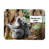 Pandas of Koalas - Welke zijn knuffels? Magneet (Horizontaal)