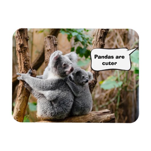 Pandas of Koalas - Welke zijn knuffels? Magneet (Horizontaal)