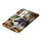 Pandas of Koalas - Welke zijn knuffels? Magneet (Linkerzijde)