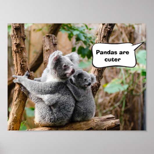 Pandas of Koalas - Welke zijn knuffels? Poster (Voorkant)