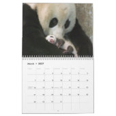 Pandas Wall Agenda Kalender (Mar 2027)